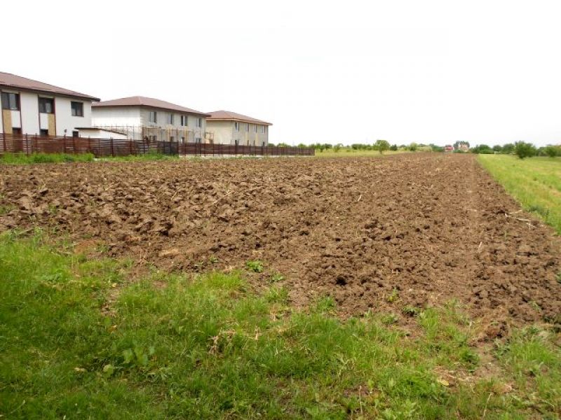 Proprietar. Vand loturi de teren in Berceni Ilfov