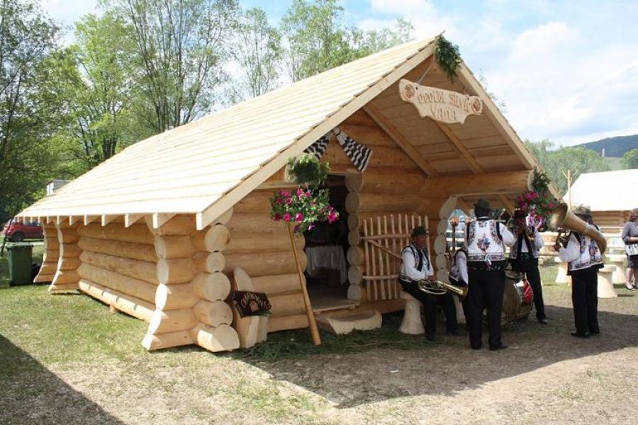 Case si cabane din busteni - www.cabanedevis.ro