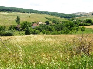 teren constructii Zalau, Ortelec