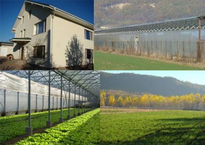 Proprietar vand Rm.Valcea 5000mp teren, casa 300mp, Sera ultramoderna 3500mp