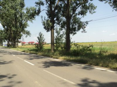 teren petrachioaia
