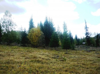 Vand teren Vatra Dornei / Bucovina la munte