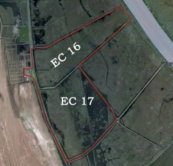 Investitie Delta Dunarii