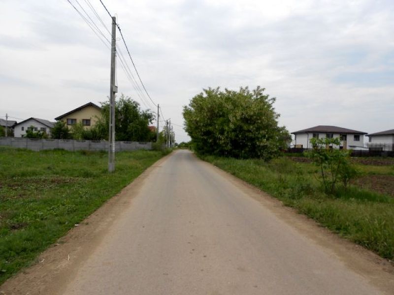 Loturi 389mp utili teren de vanzare, Berceni Ilfov