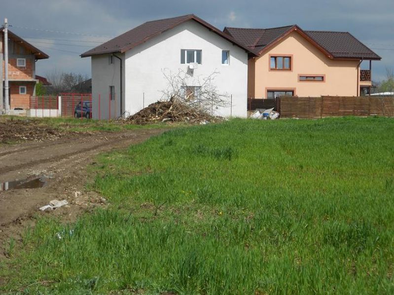 Loturi intravilane 430 mp, comuna Berceni