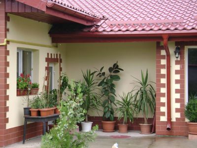 Camin de batrani Snagov Casa bunicilor