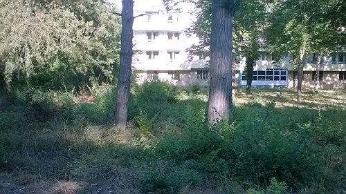 Vanzare teren intravilan Venus, Constanta