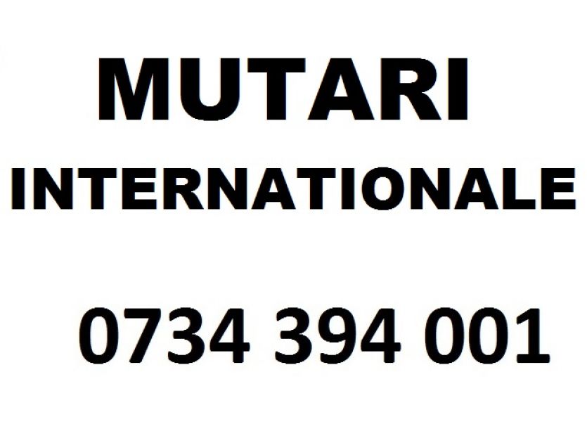 Transport Mobila 0734394001