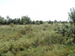 DE VANZARE teren intravilan, Butimanu (soseaua Bucuresti - Targoviste)