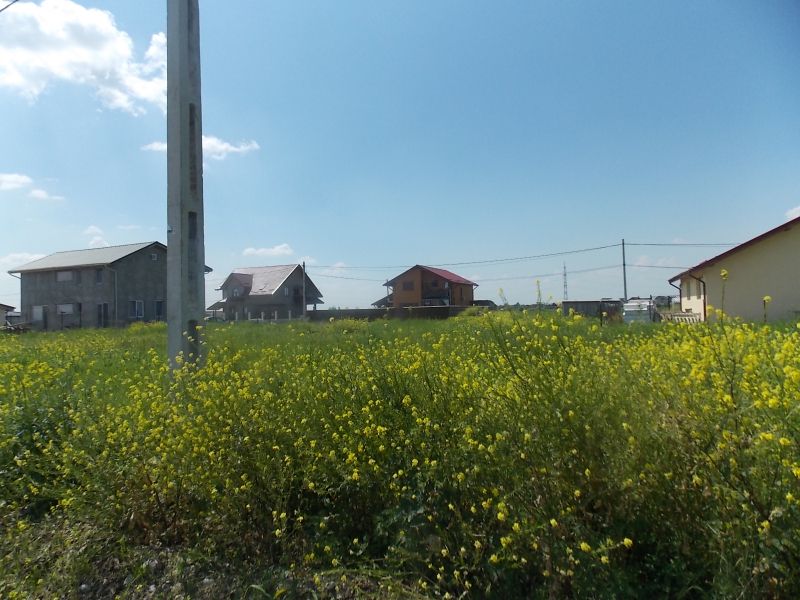 Teren 380 mp + curent electric la lot / Berceni-Ilfov