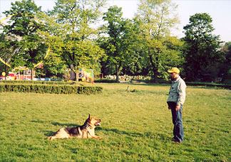 Pensiuni caini canina pisici Bucuresti