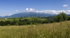 Vand teren zona Bran - Moeciu, satul Pestera, judetul Brasov