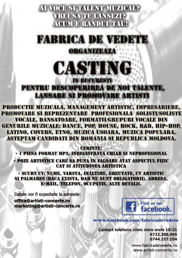 Casting Artisti, Preselectii Artisti, Lansare si Promovare Artisti, Productie muzicala si Management