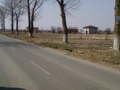 Loturi Sos Berceni-Vidra 320/mp