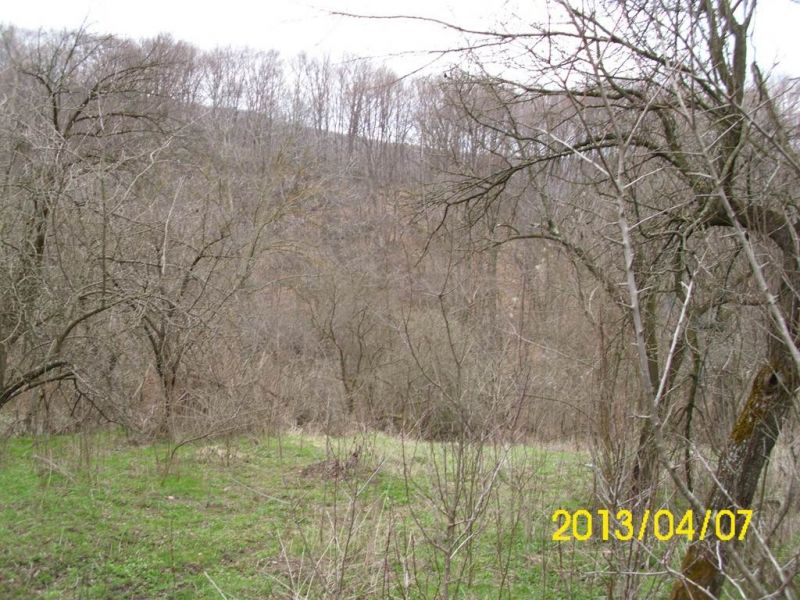 Vand teren in comuna Carbunesti, Prahova