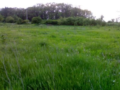Teren Corbeanca langa padure