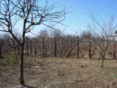 De vanzare teren intravilan - Sat Peris, Jud Ilfov