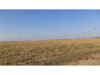 DE VANZARE, Teren intravilan Domnesti, in spatele statiei electrice, suprafata 49.000mp
