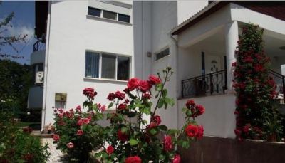 Vila-Pipera Voluntari