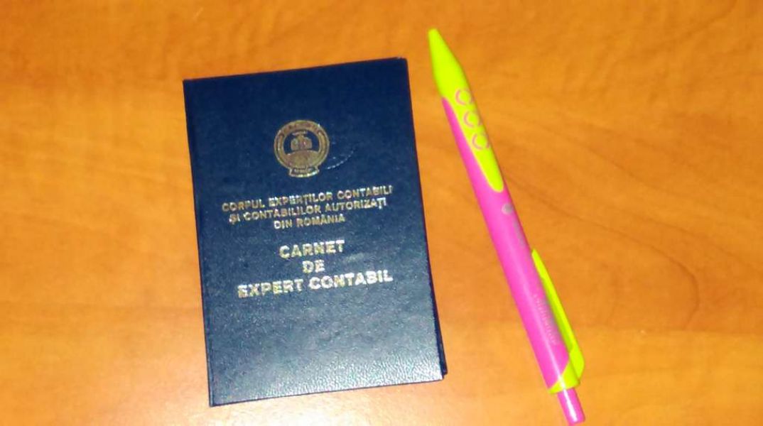 Expert contabil productie