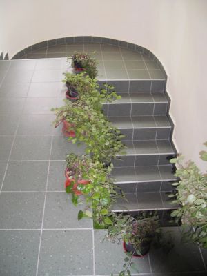 Vanzare apartament cu 3 camere in Cluj Napoca