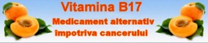 Tratament cancer cu vitamina b17