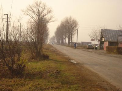 Vanzare loturi 320 mp in comuna Berceni