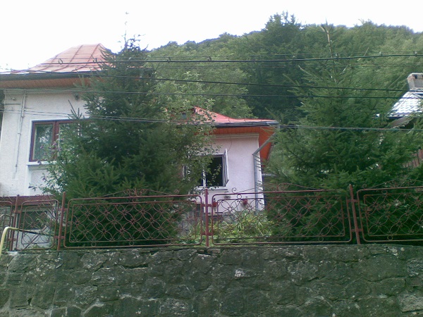 Vand casa in Sinaia