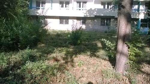 Vanzare teren intravilan Venus, Constanta
