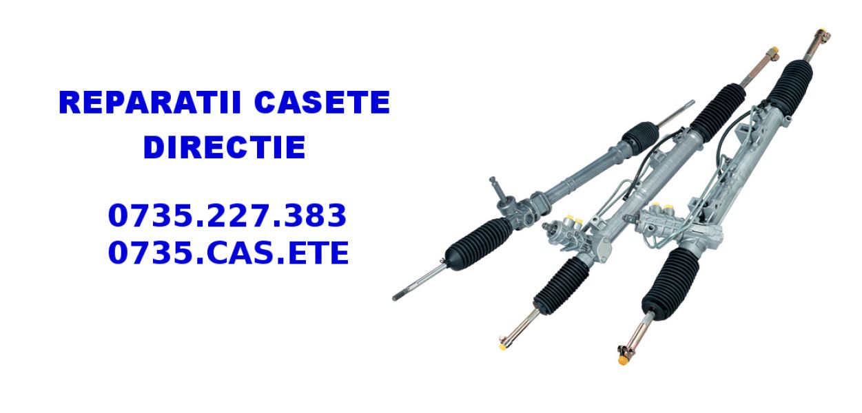 Reparatii casete directie  