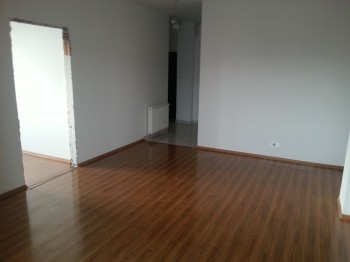 Apartamente si Garsoniere Jiului (Damaroaia)