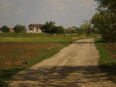 Loturi Com Berceni intrare 353/mp 6.900 Euro/Lot