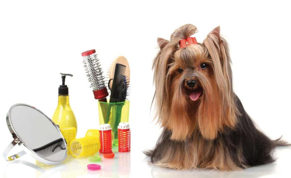 Cosmetica Canina