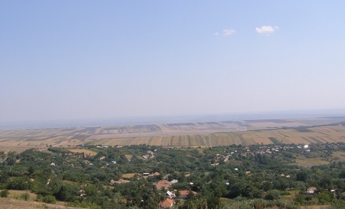 Vand teren agricol extravilan in Fundatura- Arsura, jud. Vaslui