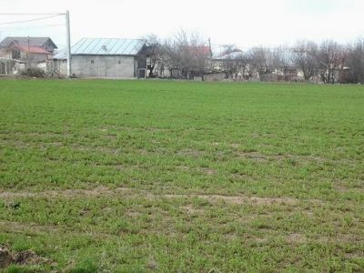 Comuna Berceni de vanzare teren 395 mp