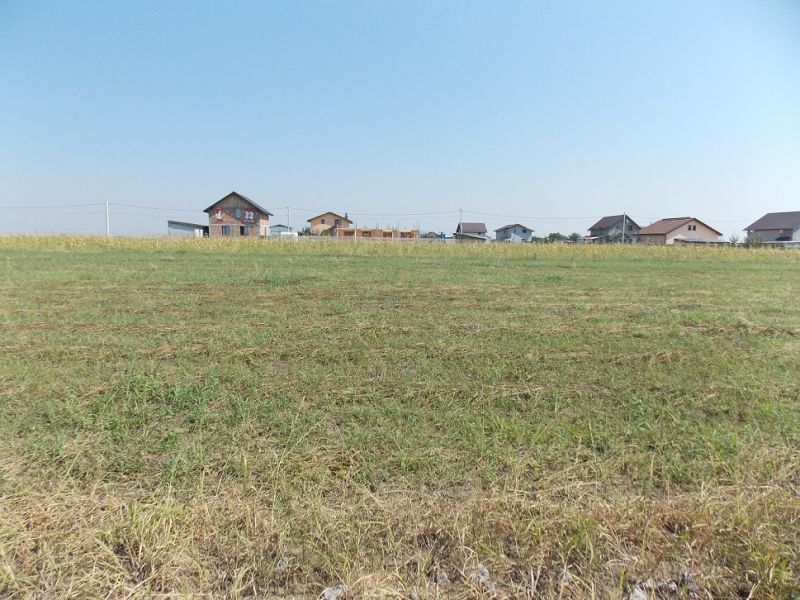 Teren pentru CASA in RATE in Comuna Berceni