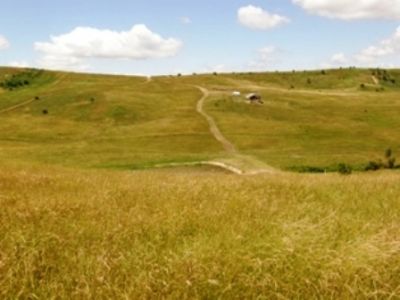 teren Zalau, Ortelec