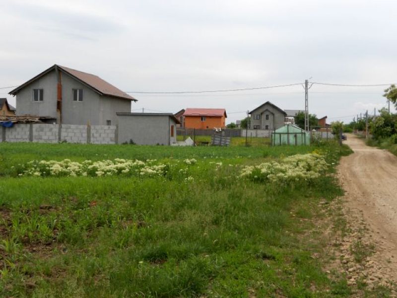 Vand teren in Ilfov ComBerceni, loturi de casa