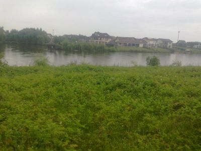 DE VANZARE, Teren intravilan Corbeanca (sat Tamasi) vis a vis de Paradisul Verde, suprafata 7059mp