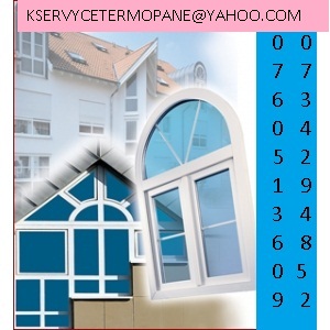 KSERVYCE TERMOPANE SI PLASE INSECTE