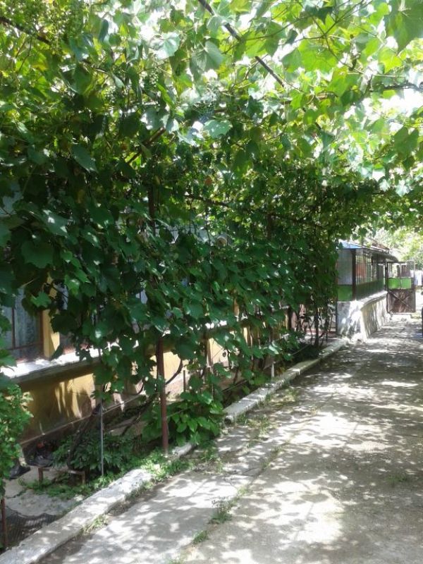 Vand casa in Clinceni