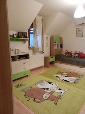 DE VANZARE CASA/VILA ECOLOGICA, ECONOMICA SI CONFORTABILA