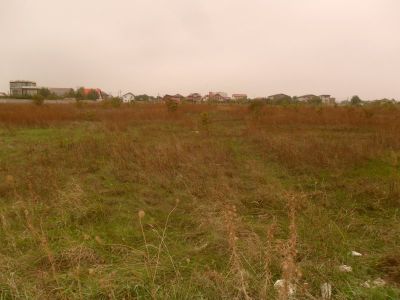 De vanzare teren intravilan - Zona Bragadiru