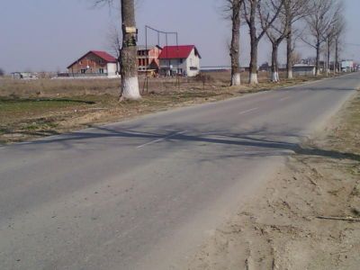 Loturi Comuna Berceni 320/mp