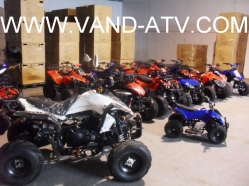 2 in 1 Cumpara 1 atv si Catiga 1 atv