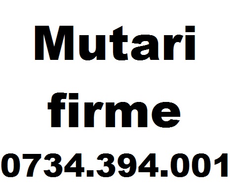 Mutari firme 0734394001