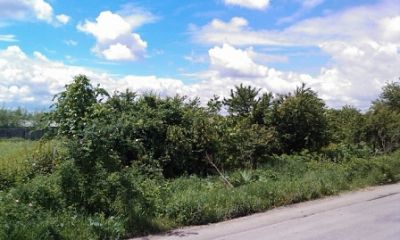 VAND TEREN SNAGOV GRUIU