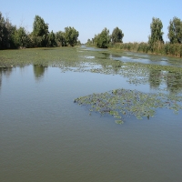 Investitie in Delta Dunarii 750 Ha