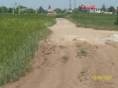 Vand teren extravilan agricol in frumusani jud. calarasi