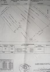 DE VANZARE, Teren Forestier, Gulia - Tartasesti (Dambovita), suprafata 10.000mp